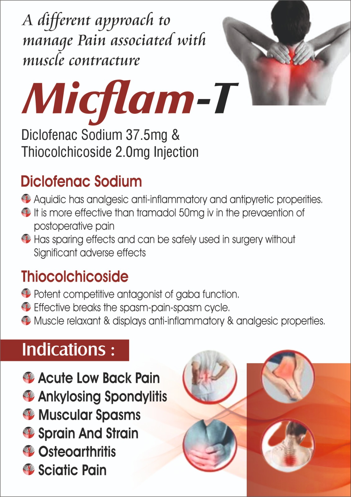 MICFLAM-T  INJECTION