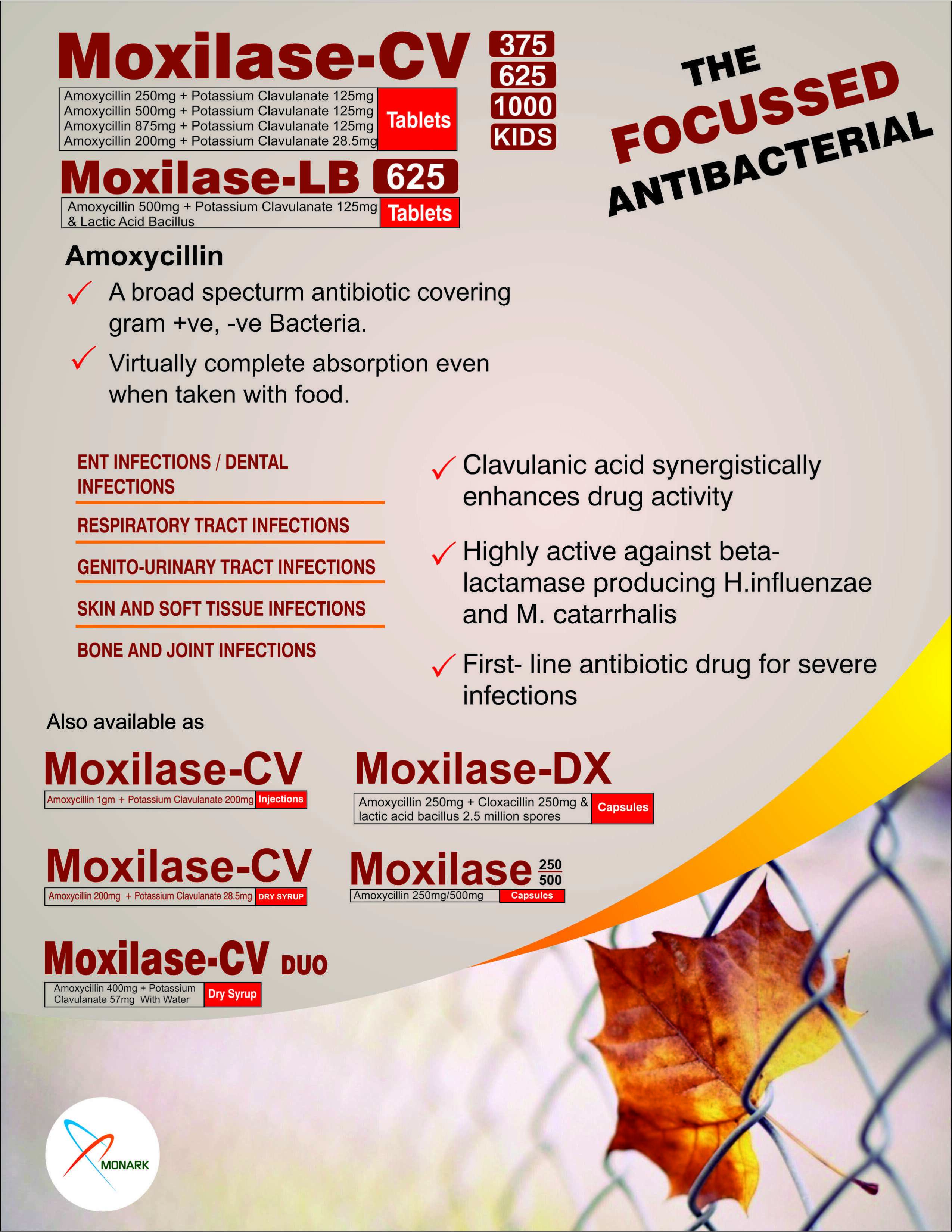 MOXILASE-CV DRY SYP