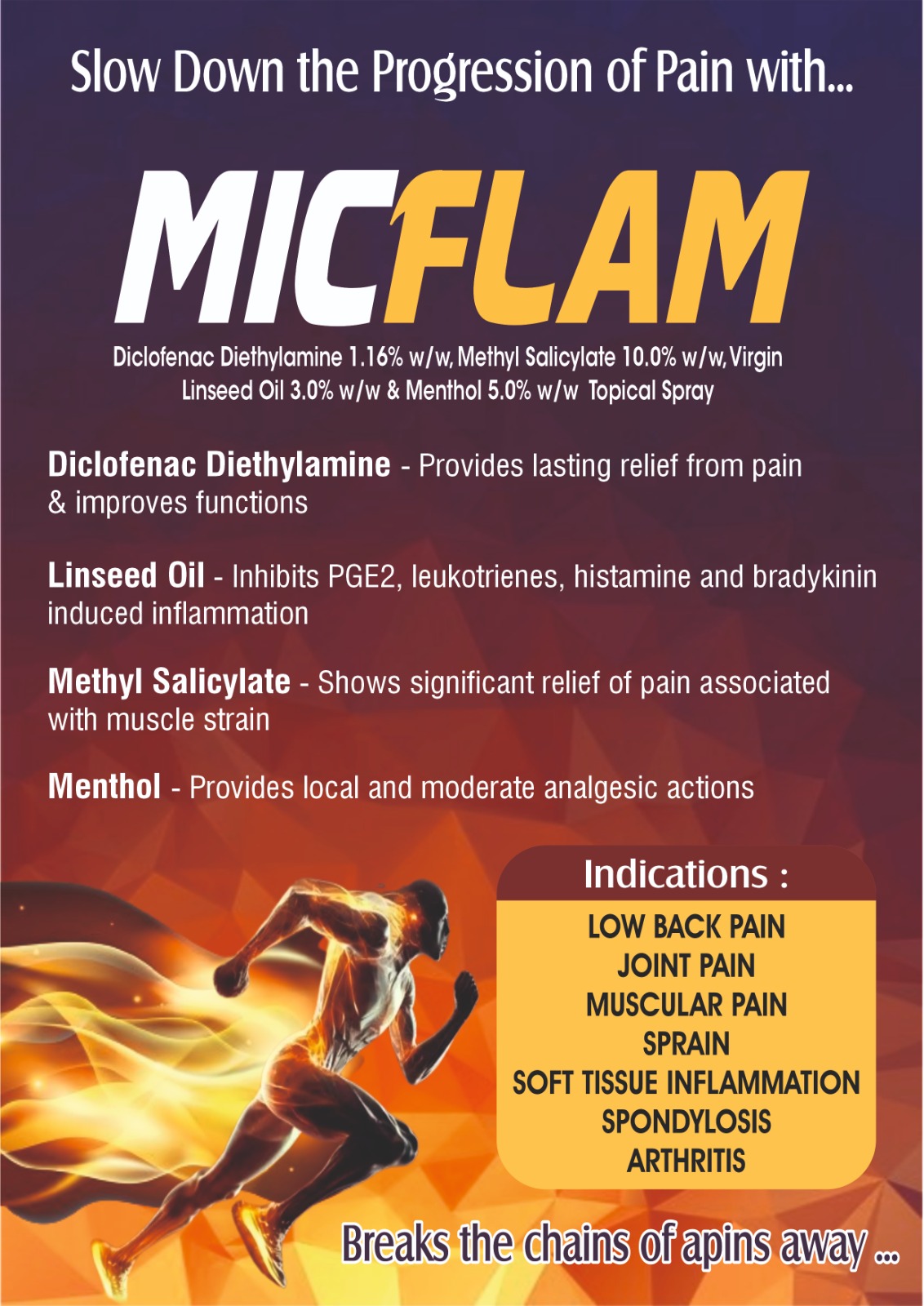 MICFLAM SPRAY